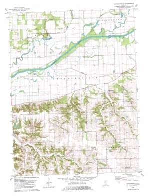 Newmansville topo map