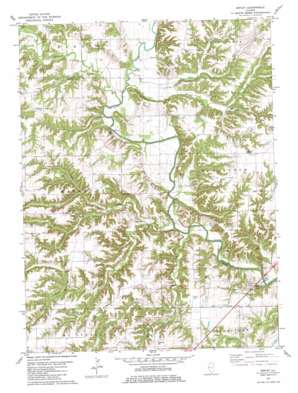 Ripley USGS topographic map 40090a6
