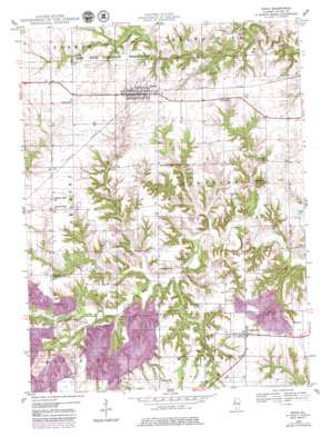 Ipava USGS topographic map 40090c3