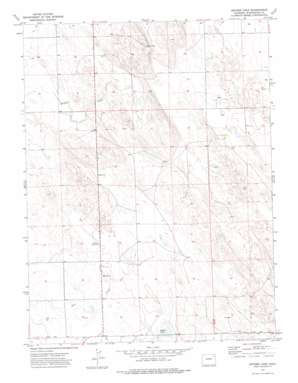 Snyder Lake USGS topographic map 40102a8