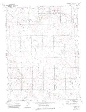 Lone Star USGS topographic map 40102c7