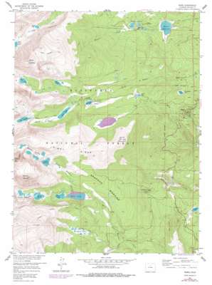 Ward USGS topographic map 40105a5