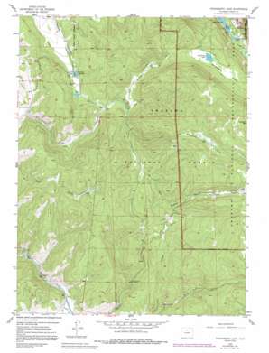 Strawberry Lake USGS topographic map 40105a7