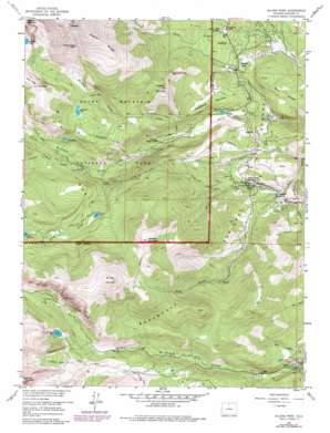 Allenspark USGS topographic map 40105b5