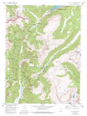 Fall River Pass USGS topographic map 40105d7