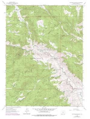 Buckhorn Mountain topo map