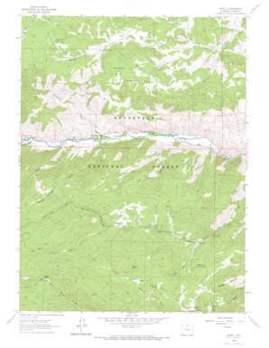 Rustic USGS topographic map 40105f5