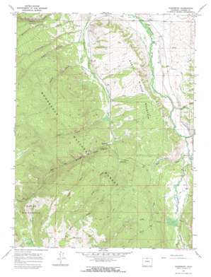 Glendevey topo map