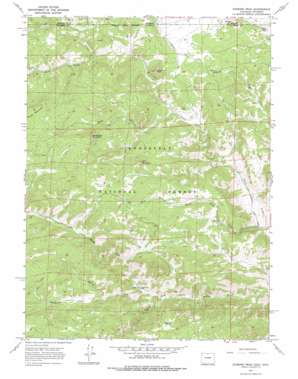 Diamond Peak USGS topographic map 40105h5