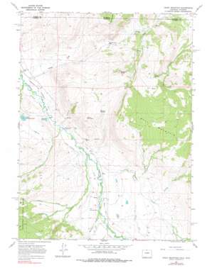 Crazy Mountain USGS topographic map 40105h8