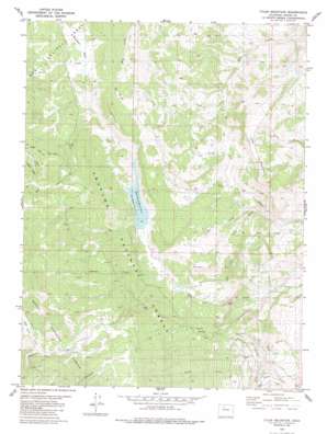 Tyler Mountain topo map