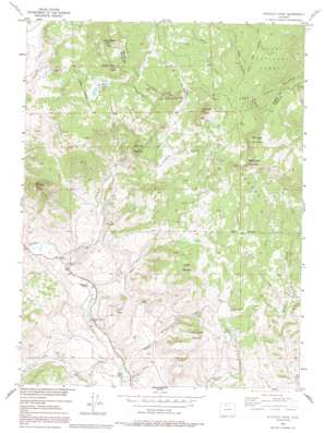 Whiteley Peak USGS topographic map 40106c4
