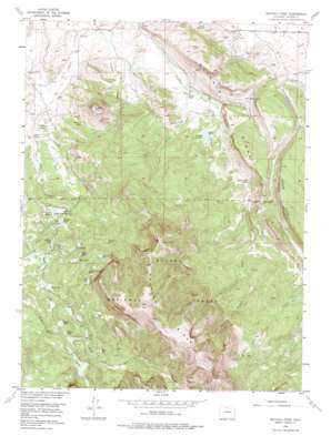 Buffalo Peak USGS topographic map 40106d3
