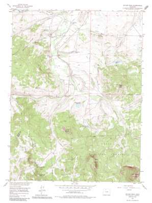 Spicer Peak USGS topographic map 40106d4