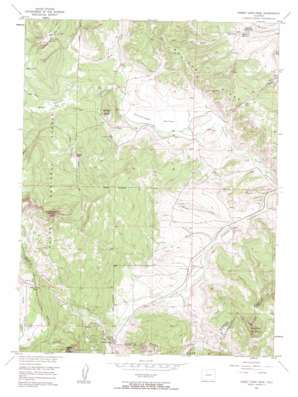 Rabbit Ears Peak USGS topographic map 40106d5