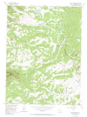 Mount Werner USGS topographic map 40106d6