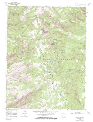 Buffalo Pass USGS topographic map 40106e6