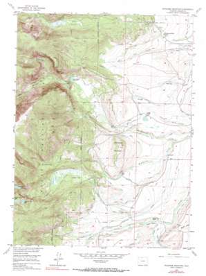 Pitchpine Mountain topo map