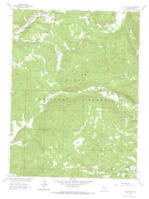 Floyd Peak USGS topographic map 40106f7