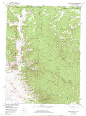 Kings Canyon USGS topographic map 40106h2