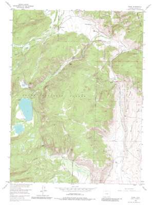 Pearl USGS topographic map 40106h5