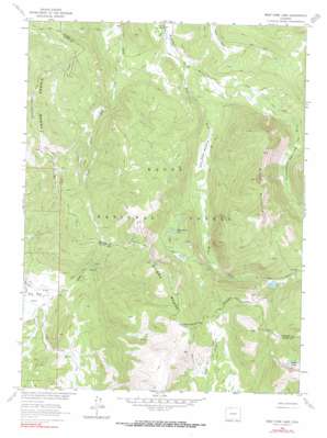 West Fork Lake topo map