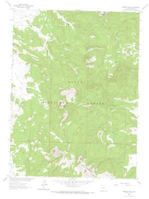 Meaden Peak USGS topographic map 40107g1
