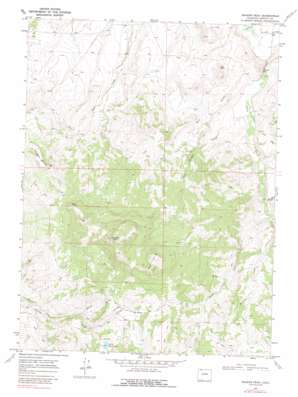 Bakers Peak USGS topographic map 40107h4