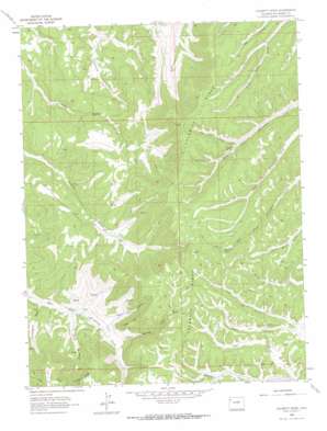 Calamity Ridge USGS topographic map 40108a5