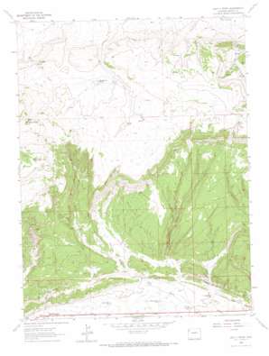 Lazy Y Point topo map