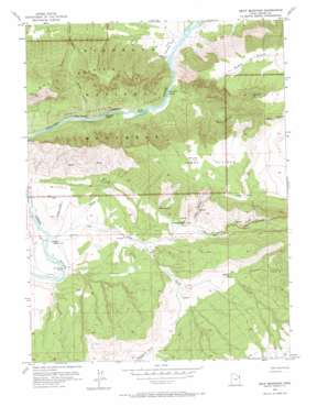 Split Mountain USGS topographic map 40109d2