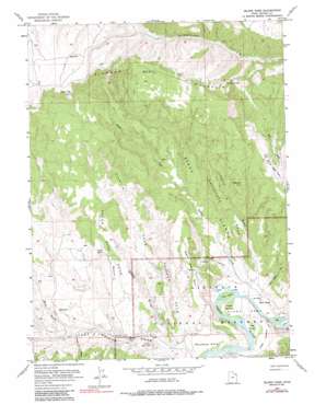 Island Park USGS topographic map 40109e2