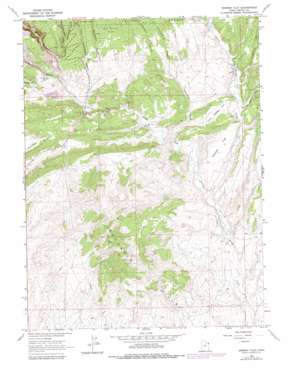Donkey Flat USGS topographic map 40109e4