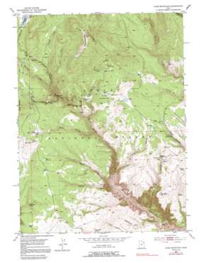 Dyer Mountain topo map
