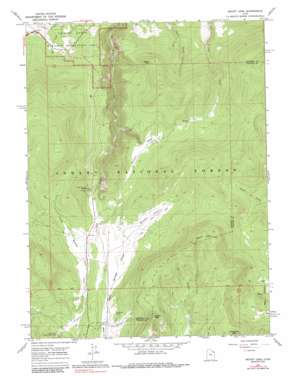 Mount Lena USGS topographic map 40109g4