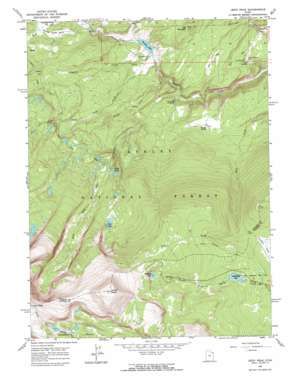 Leidy Peak topo map