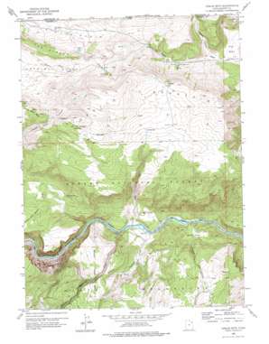 Goslin Mountain topo map