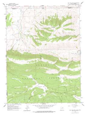 Phil Pico Mountain USGS topographic map 40109h8