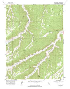 Buck Knoll USGS topographic map 40110a5