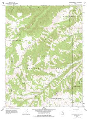 Strawberry Peak USGS topographic map 40110a8