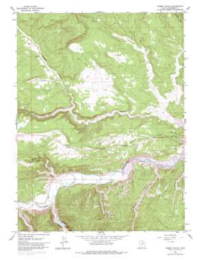Rabbit Gulch USGS topographic map 40110b5