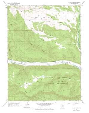 Blacktail Mountain USGS topographic map 40110c5