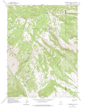 Raspberry Knoll USGS topographic map 40110c8