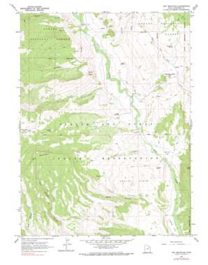 Dry Mountain USGS topographic map 40110d5