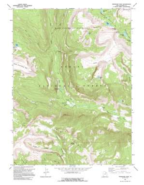 Tworoose Pass topo map