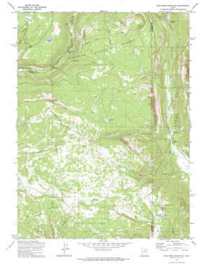 Iron Mine Mountain USGS topographic map 40110e8