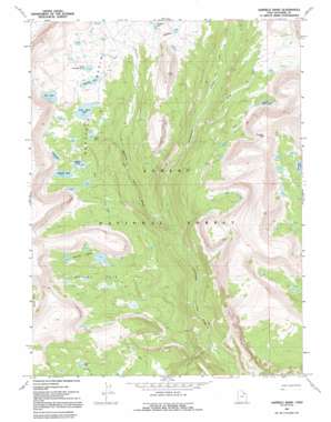 Garfield Basin topo map