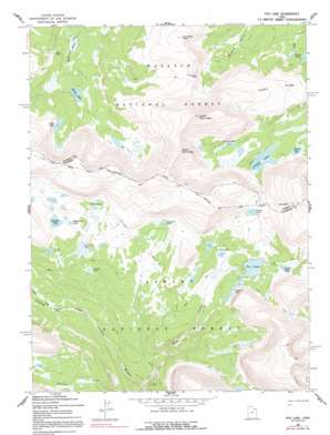 Fox Lake USGS topographic map 40110g2