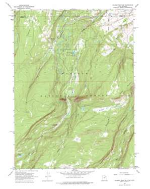 Gilbert Peak NE USGS topographic map 40110h3
