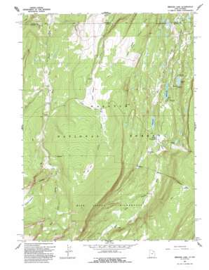 Bridger Lake USGS topographic map 40110h4